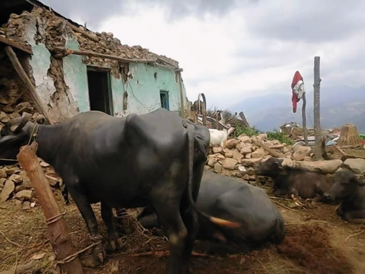 Nepalese farmers are struggling following last month's earthquake