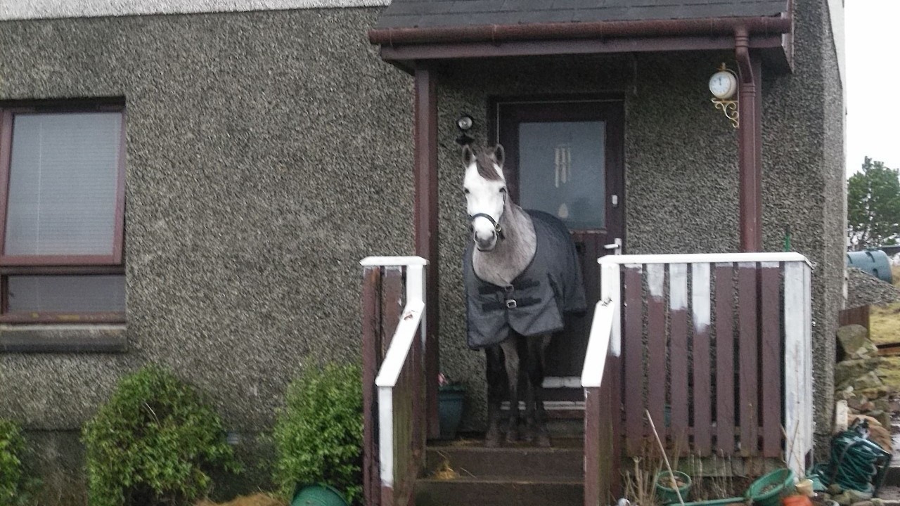 Grey Lady Too outside Ms Noble's home.