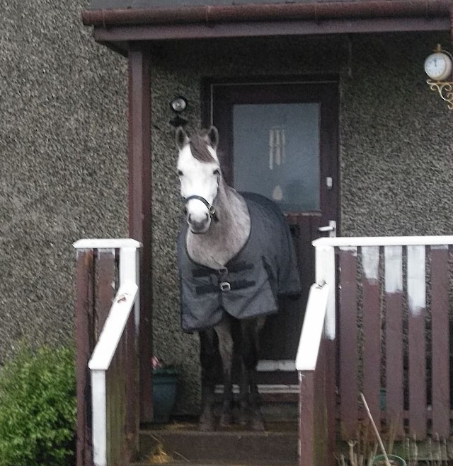 Grey Lady Too outside Ms Noble's home.