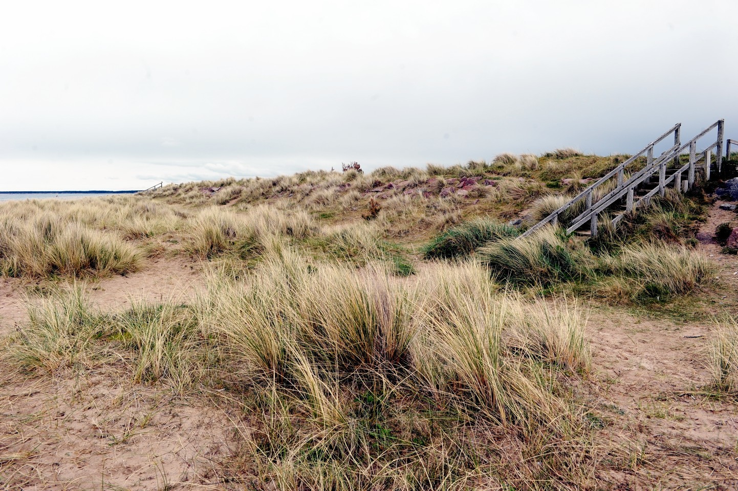 The foreshore at North Beach, Findhorn, where a planning application has been submitted to Moray Council for 30 beach huts. Picture by Gordon Lennox