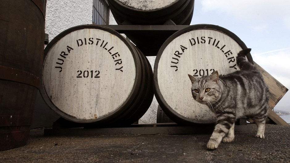 Barrels from the Jura whisky distillery on the Scottish island Jura