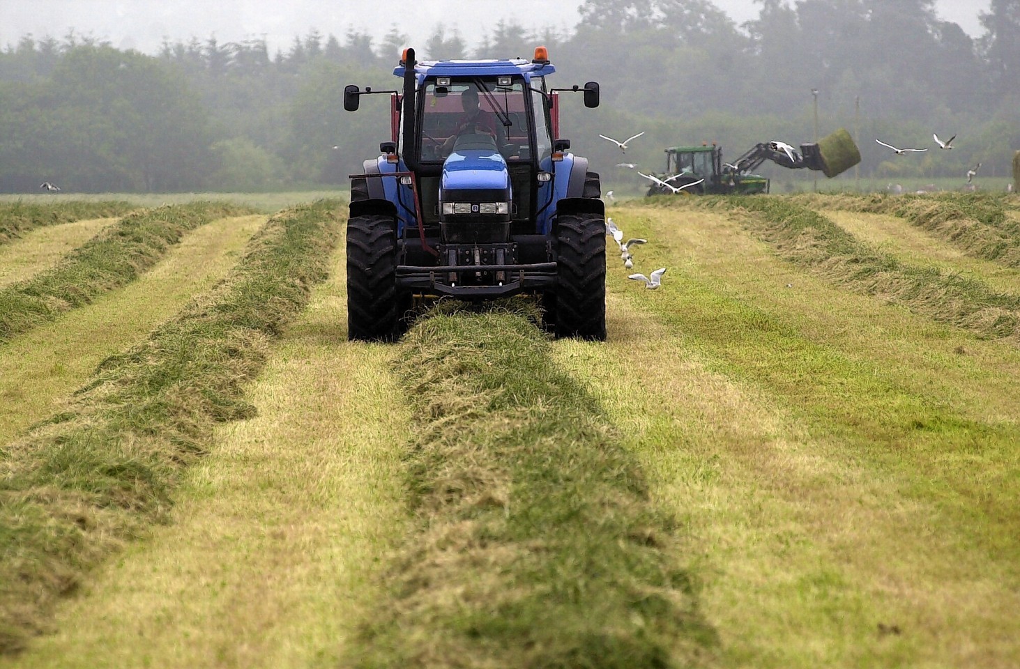 Problems with the IT system have resulted in payment delays to farmers and crofters.