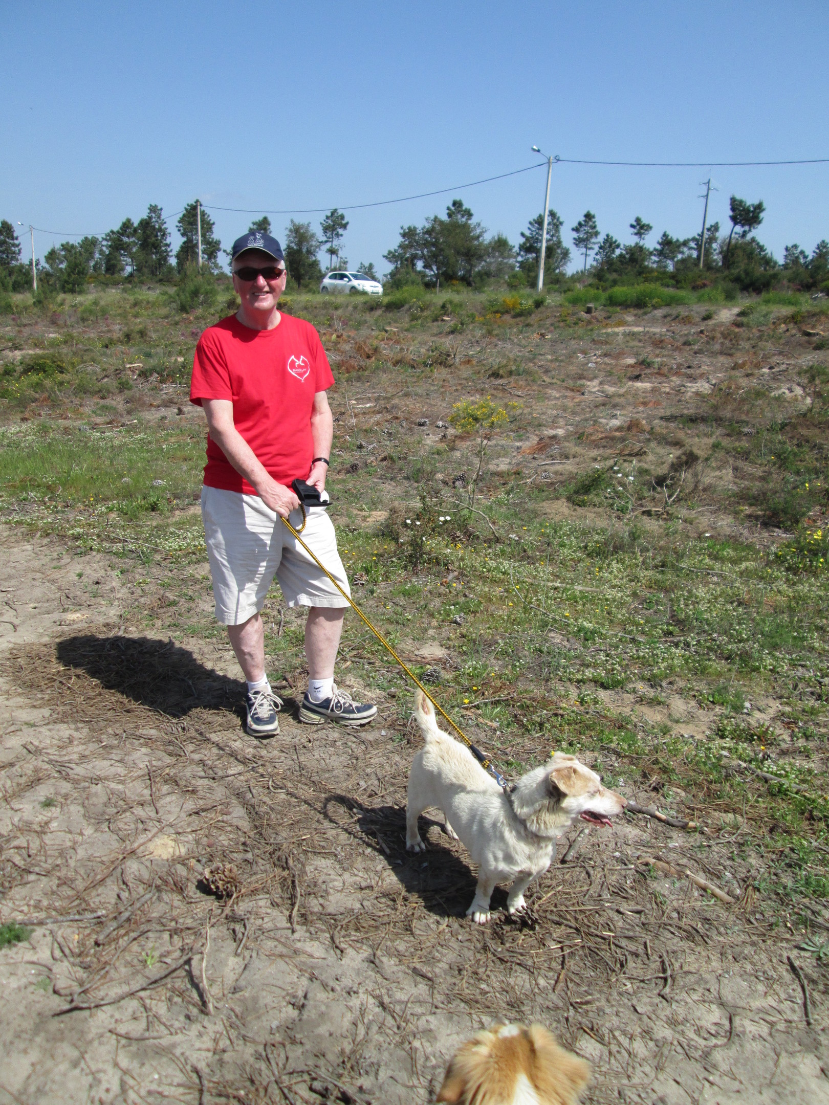 Mike Gibb has been helping rehome neglected dogs in Portugal for the last three years