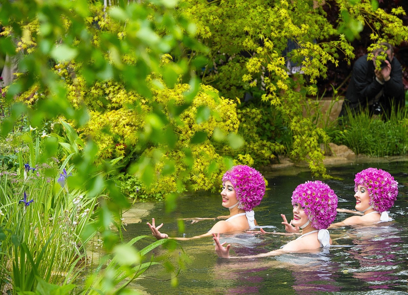 Synchronised swimmers perform in a pond at the M&G Retreat garden