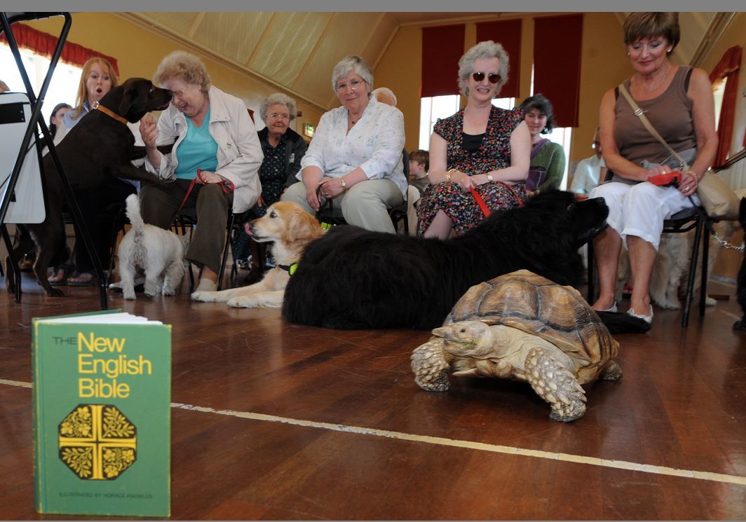 The annual animal blessing service was held at Craigiebuckler Church Hall