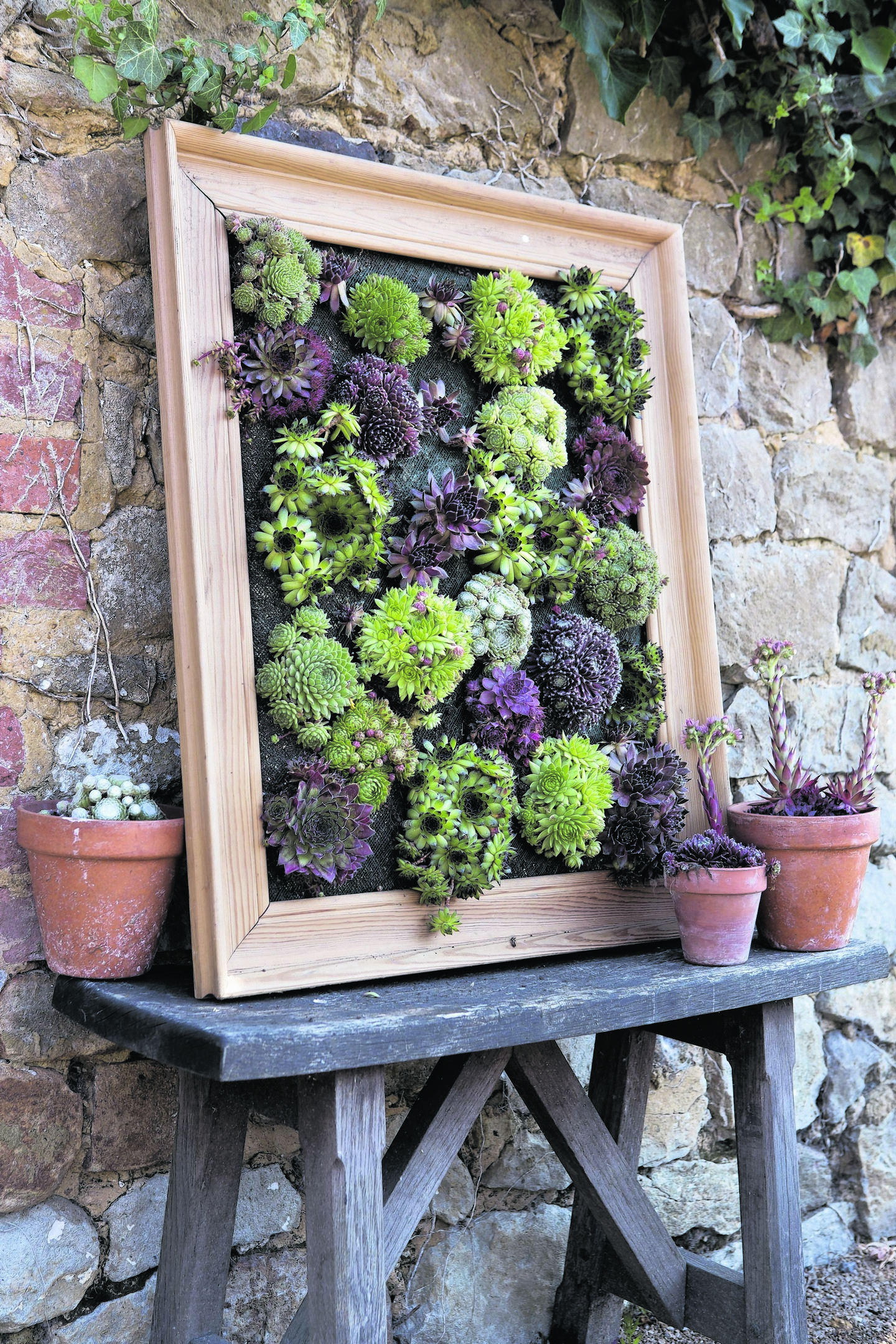 Undated Handout Photo of a Succulent Frame. See PA Feature GARDENING Shoestring. Picture credit should read: PA Photo/Handout. WARNING: This picture must only be used to accompany PA Feature GARDENING Shoestring.