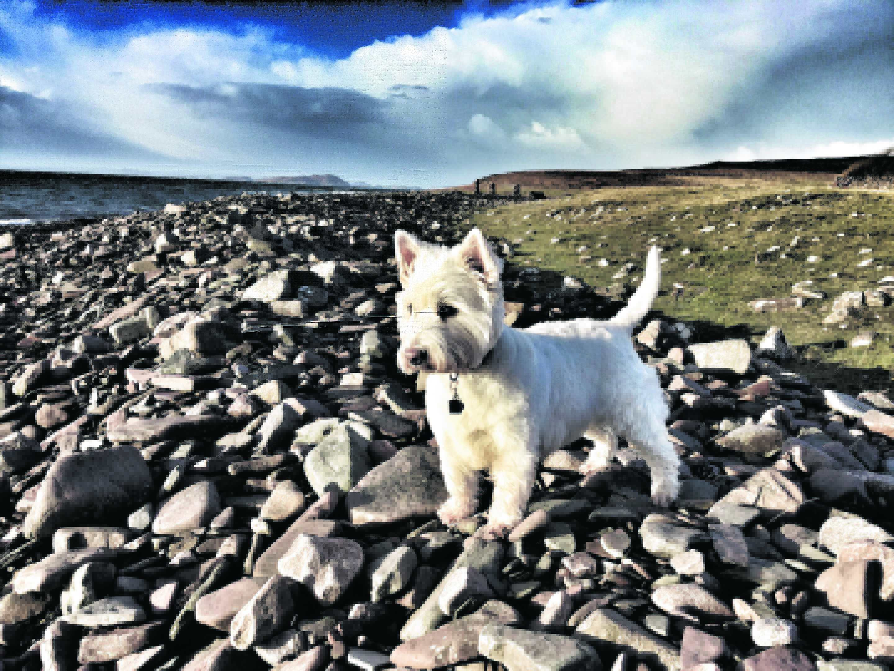 Daisy Wood on holiday in Achiltibuie near Ullapool. Daisy lives with Alice Wood in Inverness.