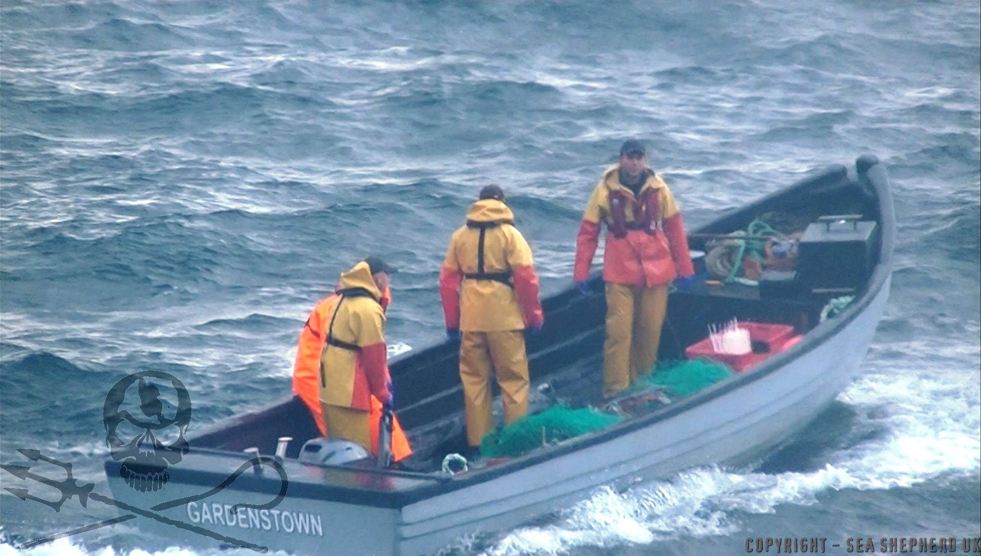 Image released by Sea Shepherd of marksmen targeting seals off the north-east coast