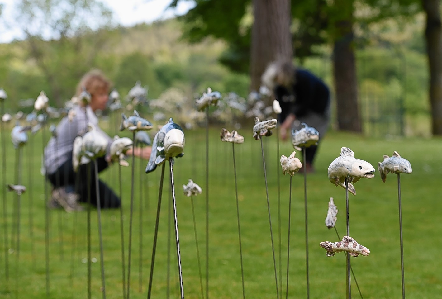 The River of Fish exhibition in Banchory