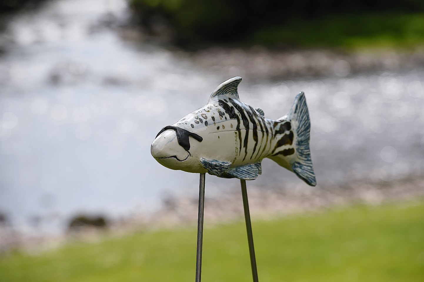 The River of Fish exhibition in Banchory