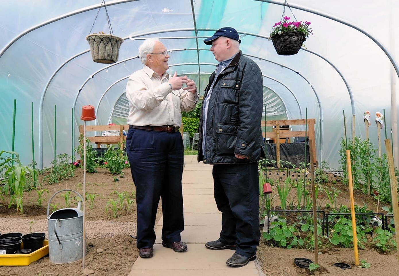 The opening of the Inverurie and district Mens Shed Polytunnel, Harlaw Road, Inverurie. In the picture Beechgrove's Jim McColl, left with Archie Peebles, trustee chairman in the polytunnel. Picture by JIM IRVINE