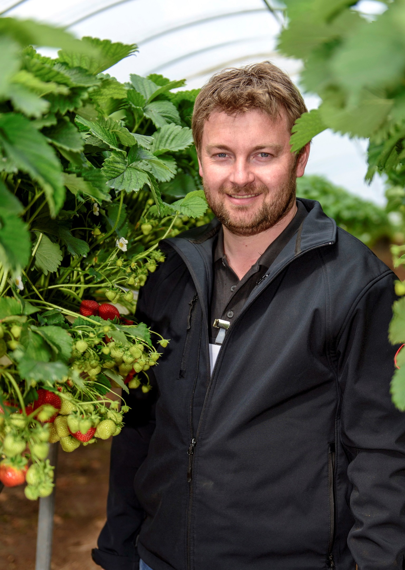 Castleton Fruit Farmer Ross Mitchell