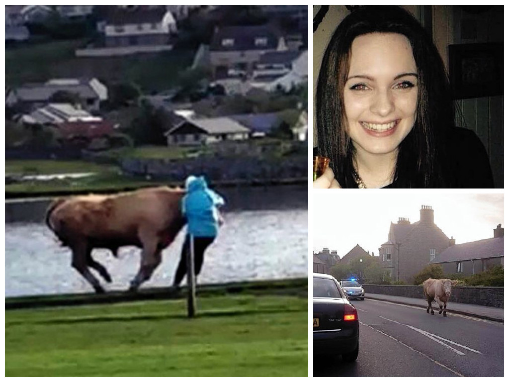 The bull charged into a woman, 72, in Shetland and chased jogger Holly King (top right)
