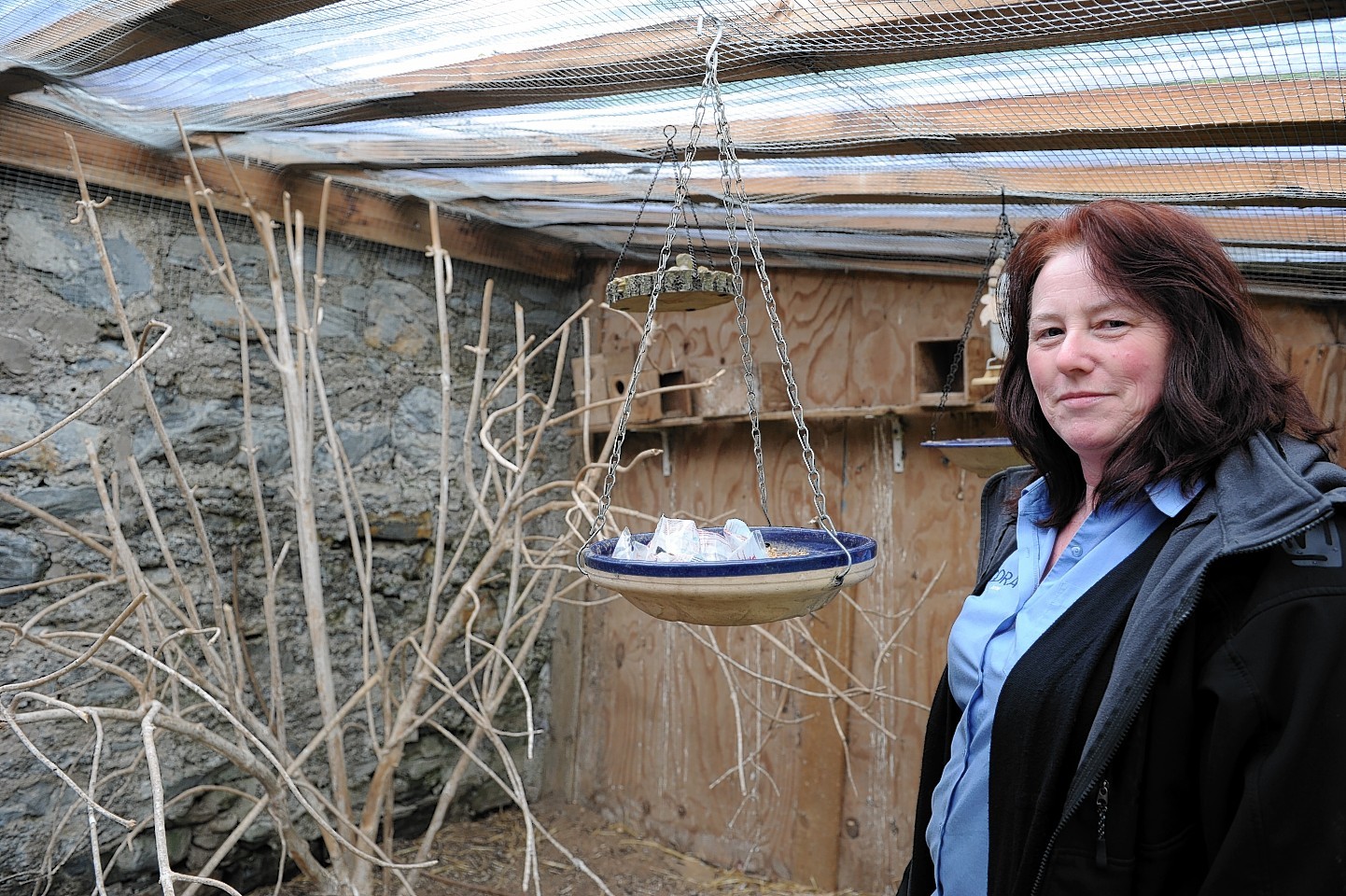 Jenny Smith in the aviary in her garden at Dufftown, that the rats got into, resulting in her Rosetta parrot escaping.
Picture by Gordon Lennox