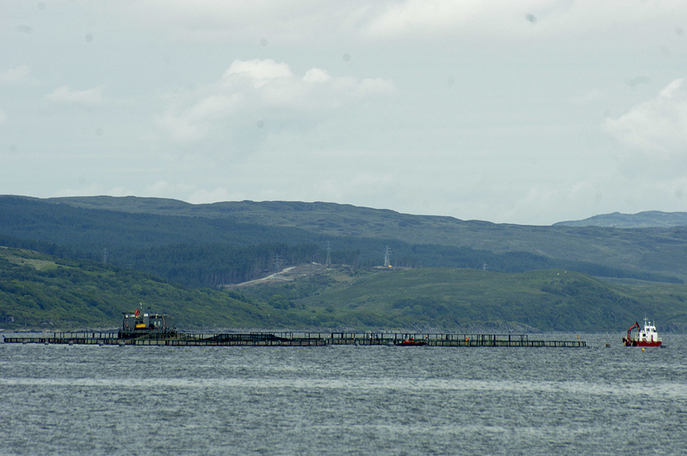 An artists impression of the Marine Harvest plant at Kyleakin
