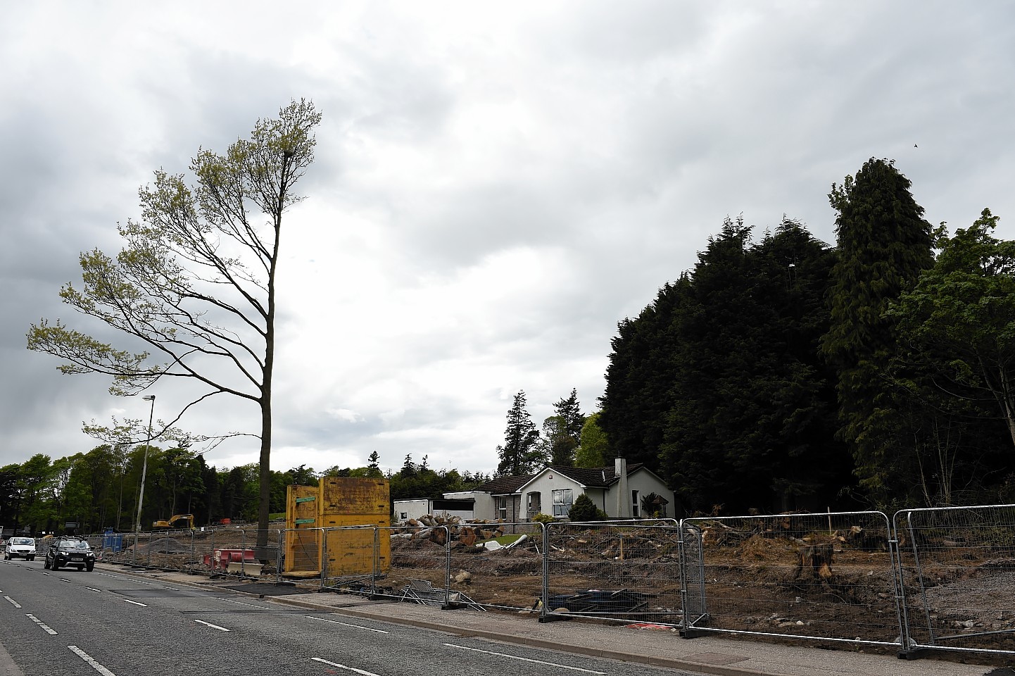 A birds nest has hampered tree-felling work on the AWPR. Picture by Kenny Elrick