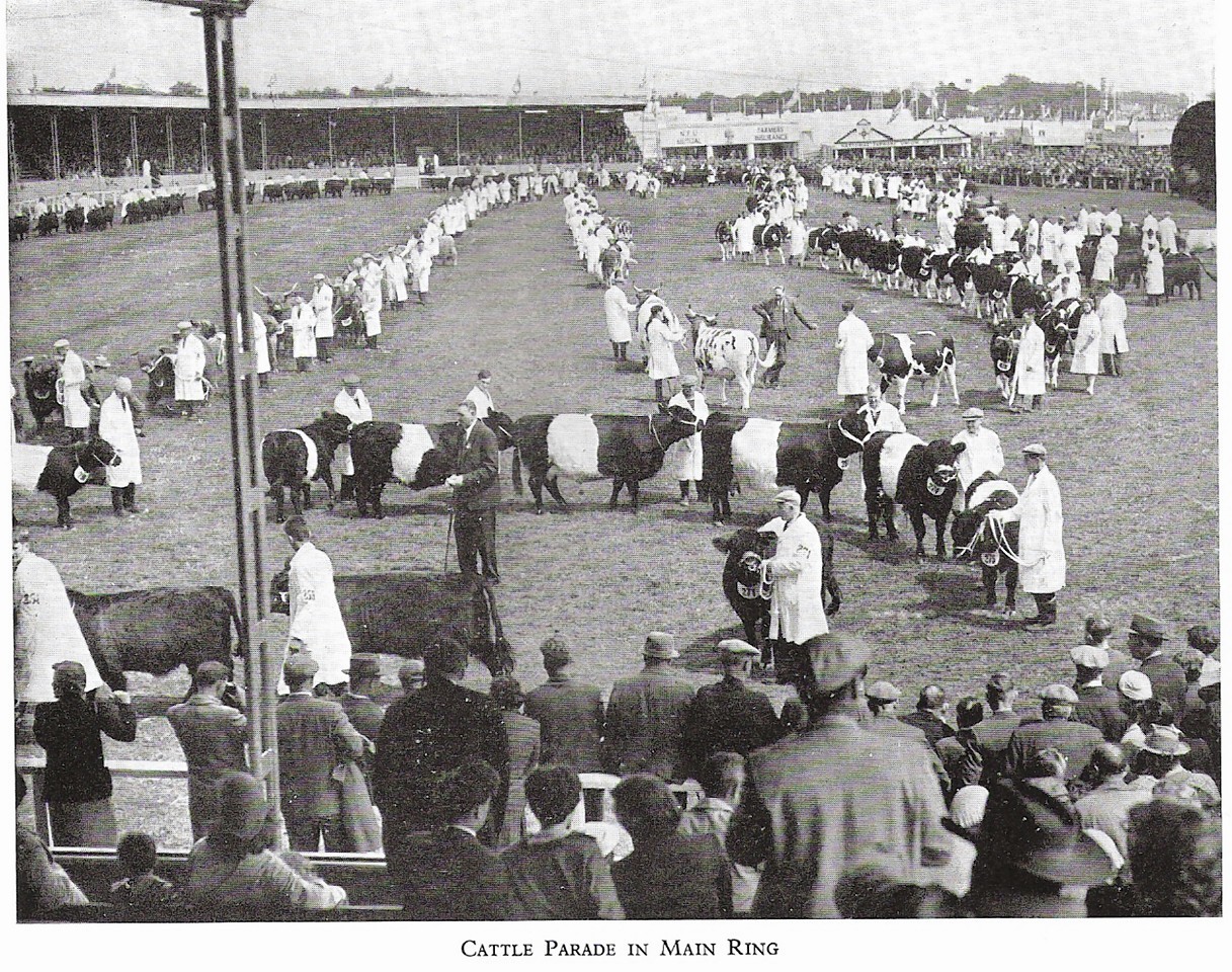 Stock parade through the main ring at Aberdeen for the Highland Show in 1959