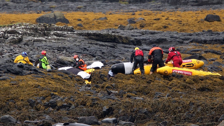 British Divers Marine Life Rescue tend to stranded pilot whales on the rocks of Staffin Island on the Isle of Skye.