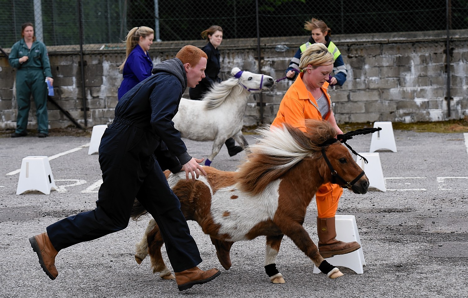 The first NESCol Pony Olympics at the College's Craibstone campus. Picture by Kami Thomson