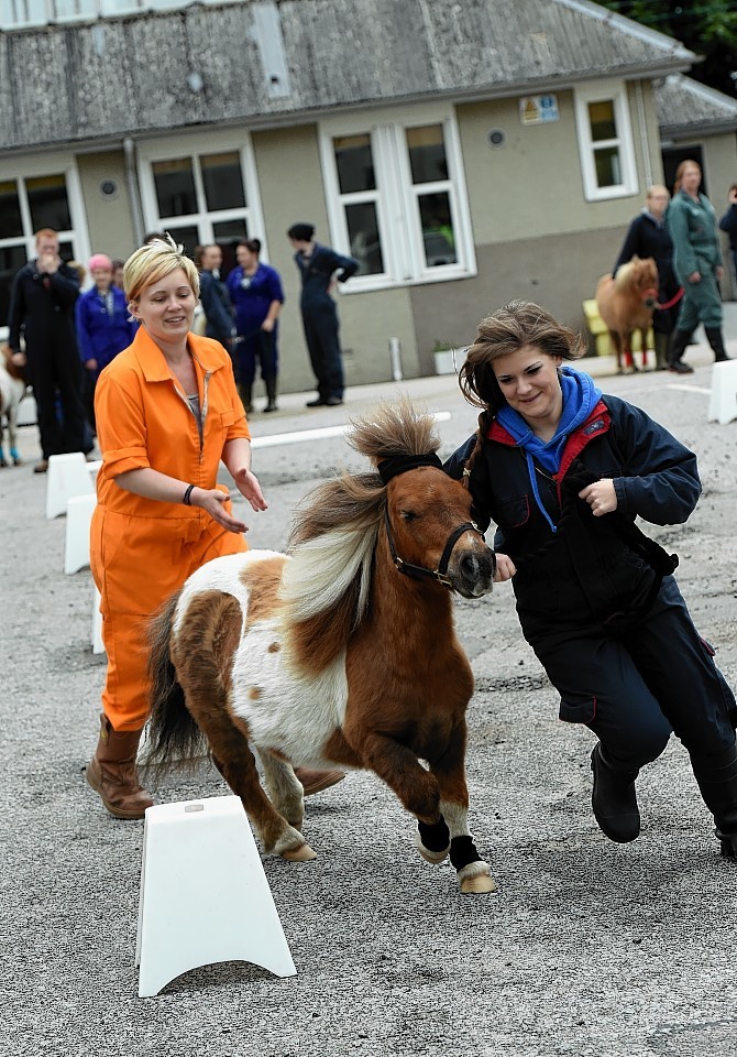 Sam Chalmers and Holly Smith compete with Fergus. Picture by Kami Thomson  