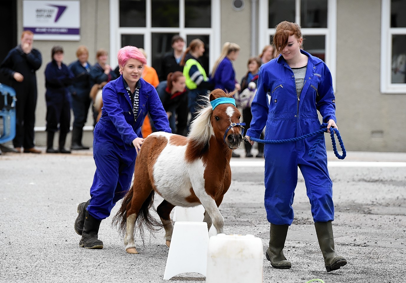 Hannah Stanger and Kirsty Finnie compete with Paolo.  Picture by Kami Thomson   