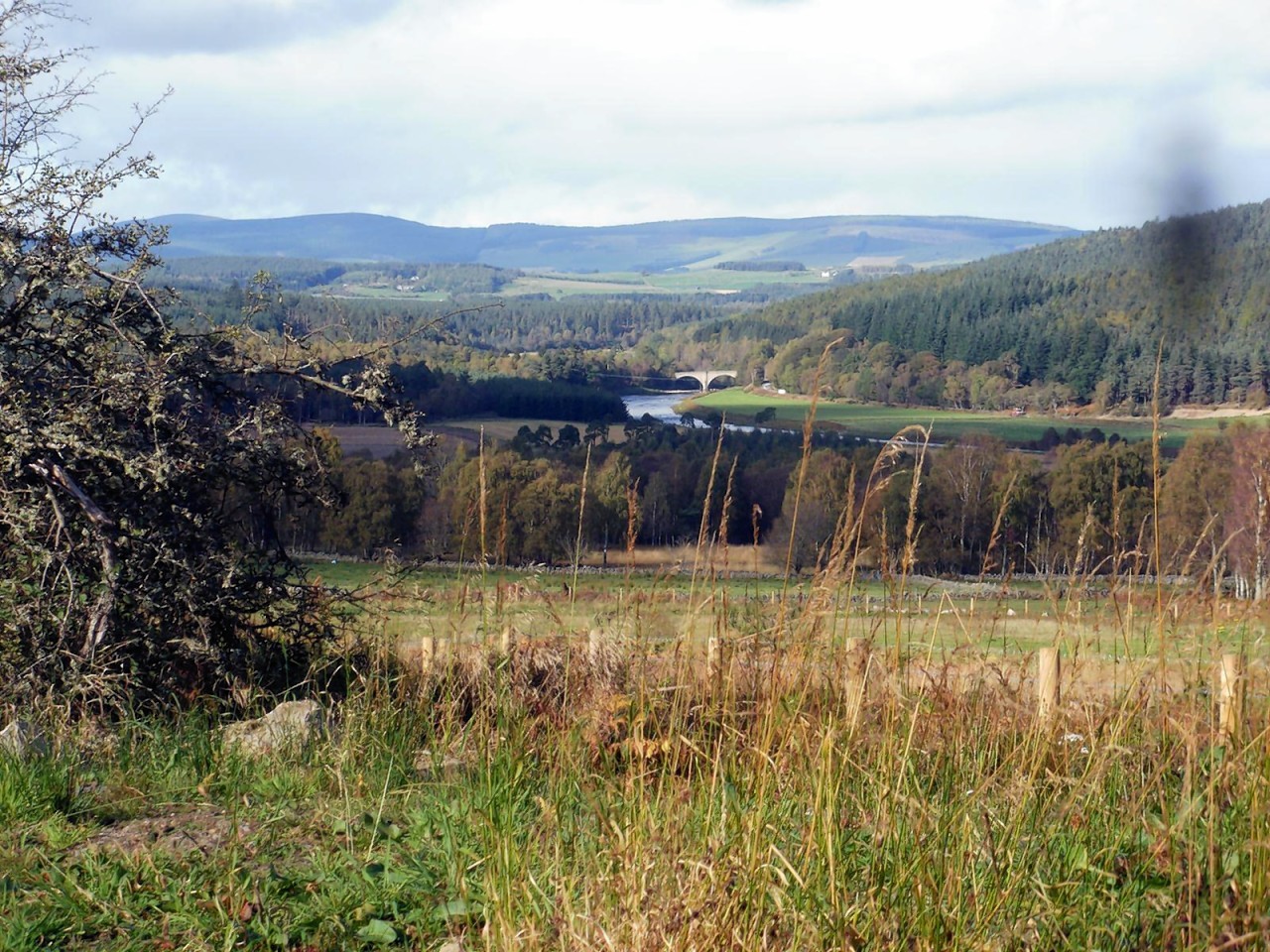 Potarch Bridge taken from Slewdrum Forest