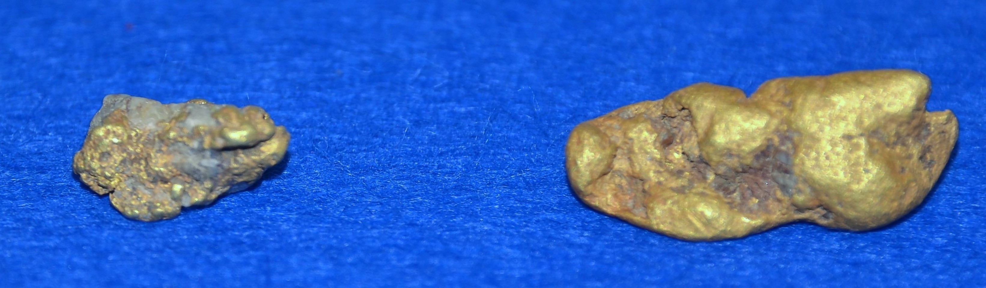 The 18.13 gsm gold nugget found in waters at Wanlockhead, Dumfries and Galloway