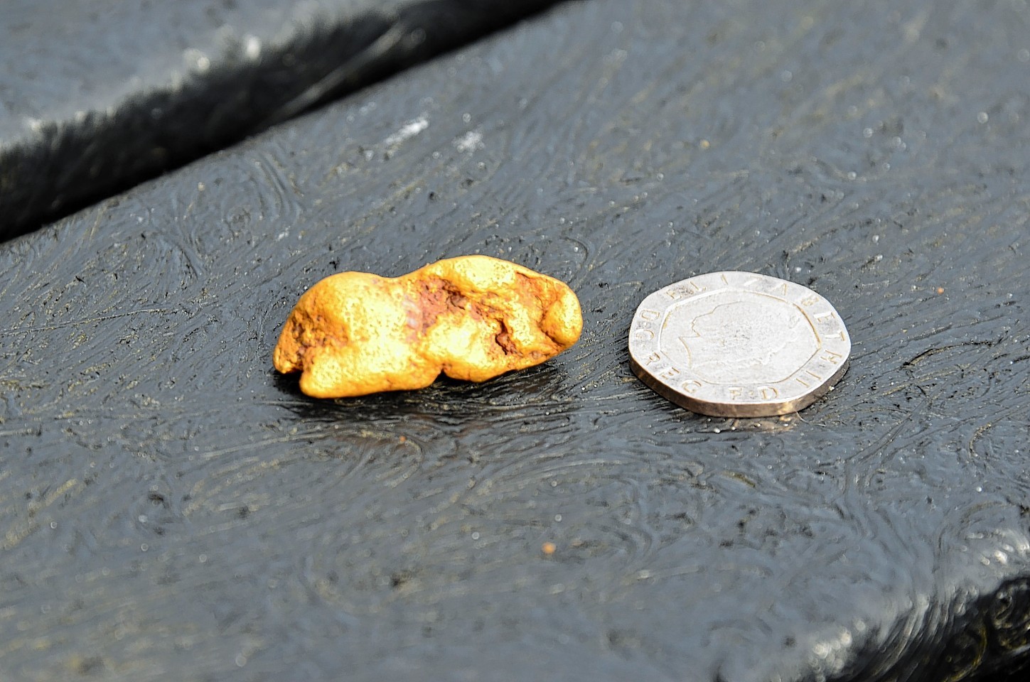 The 18.13 gsm gold nugget found in waters at Wanlockhead, Dumfries and Galloway