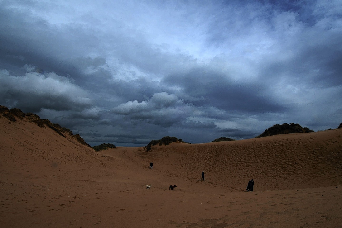 Dog walkers brave the storm clouds and high winds at Balmedie beach
