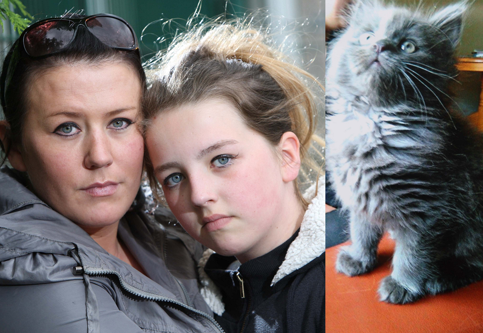 Lorna Henderson and her daughter Bethany Maclennan spent the previous day searching for their cat Wesley