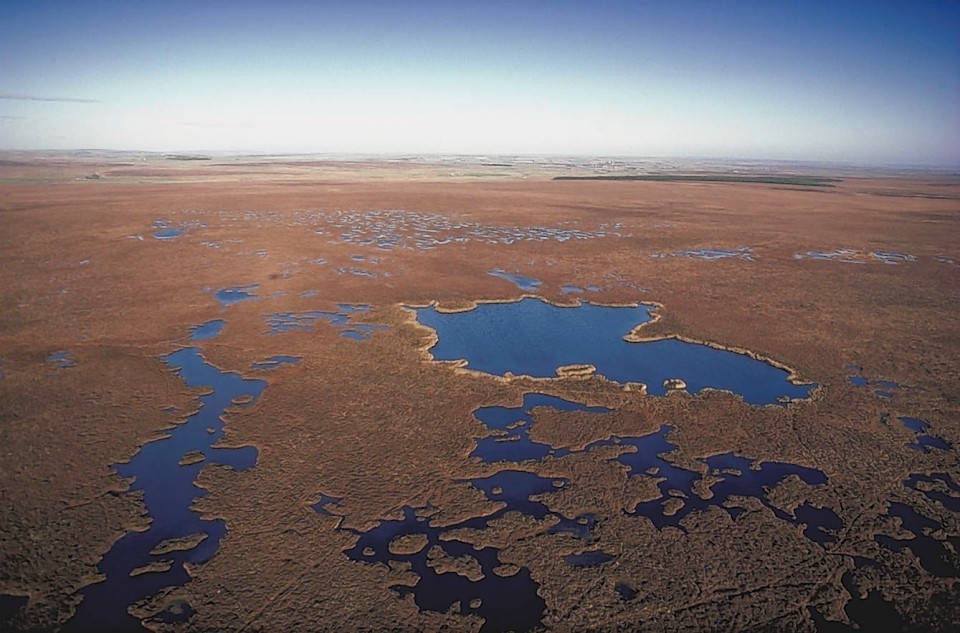 Flow Country, Sutherland