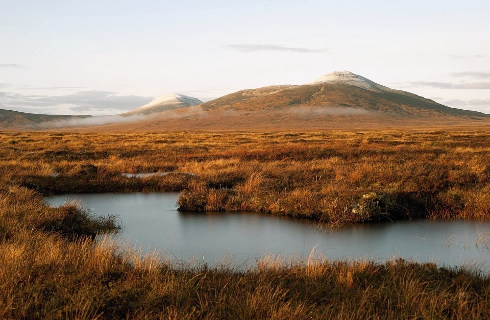 An initiative to restore peatlands is to get an extra £3million.