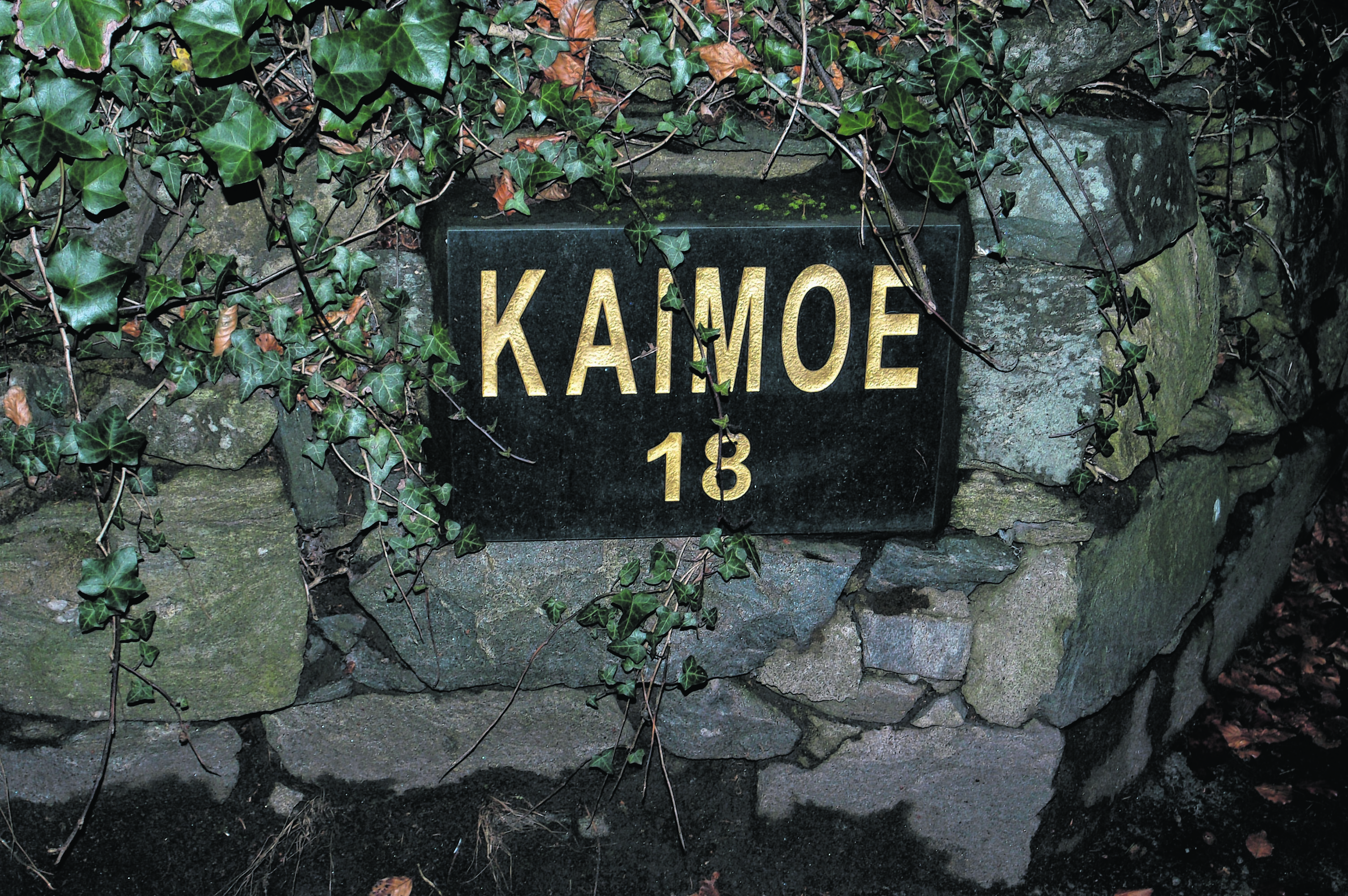 yh-Kaimoe3