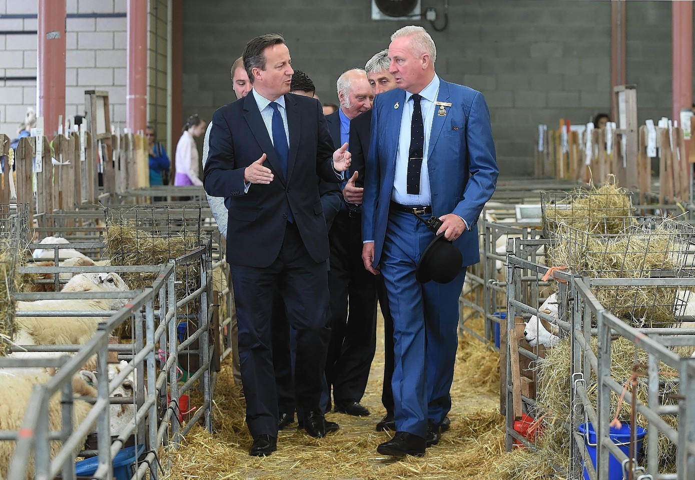 David Cameron at the Royal Welsh Show