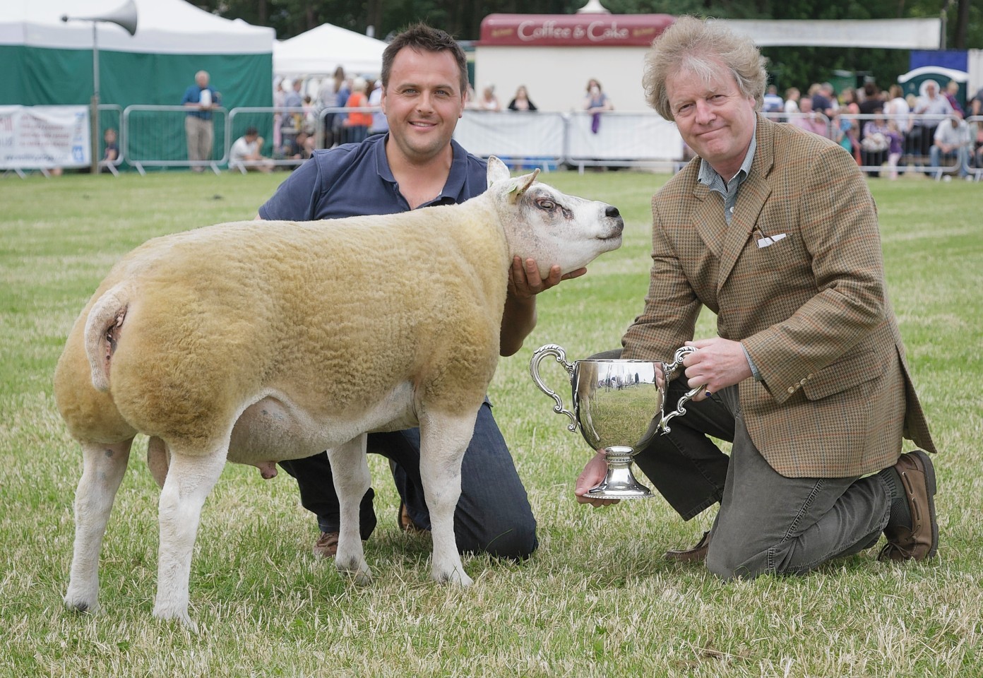 Last year's supreme champion Dutch Texel tup