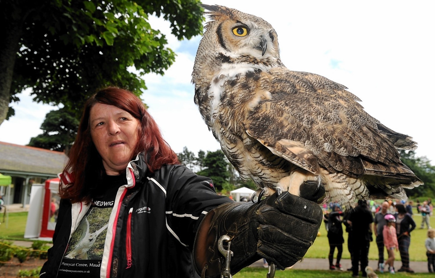nviroment Day held at Duthie Park on Sunday the 19th july. Pictured is Ruth Hicking from the Pussycat Centre near Maud with Errol who appeared in the Harry Potter films