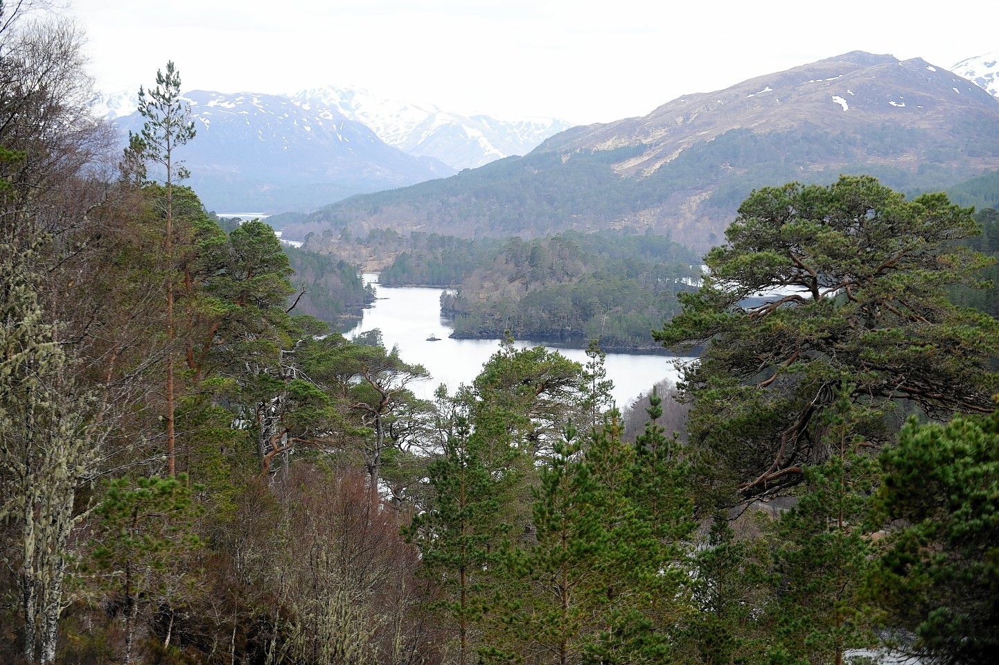 Glen Affric will host some of the orienteering competitions