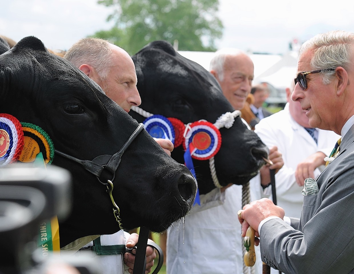 Prince Charles meets the Aberdeen-Angus winners, including Robert Marshall