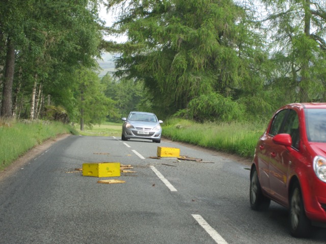 The A93 near Braemar was held up  by a swarm of angry bees, after their hive fell off the back of a lorry