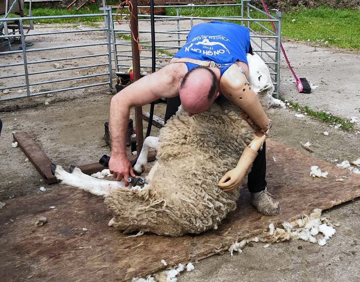 A BRAVE crofter who lost an arm in a horrific accident has managed to shear his flock of 20 sheep one-handed.