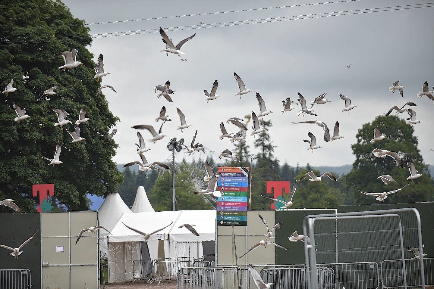 Seagulls are seen swarming near the entrance . 
