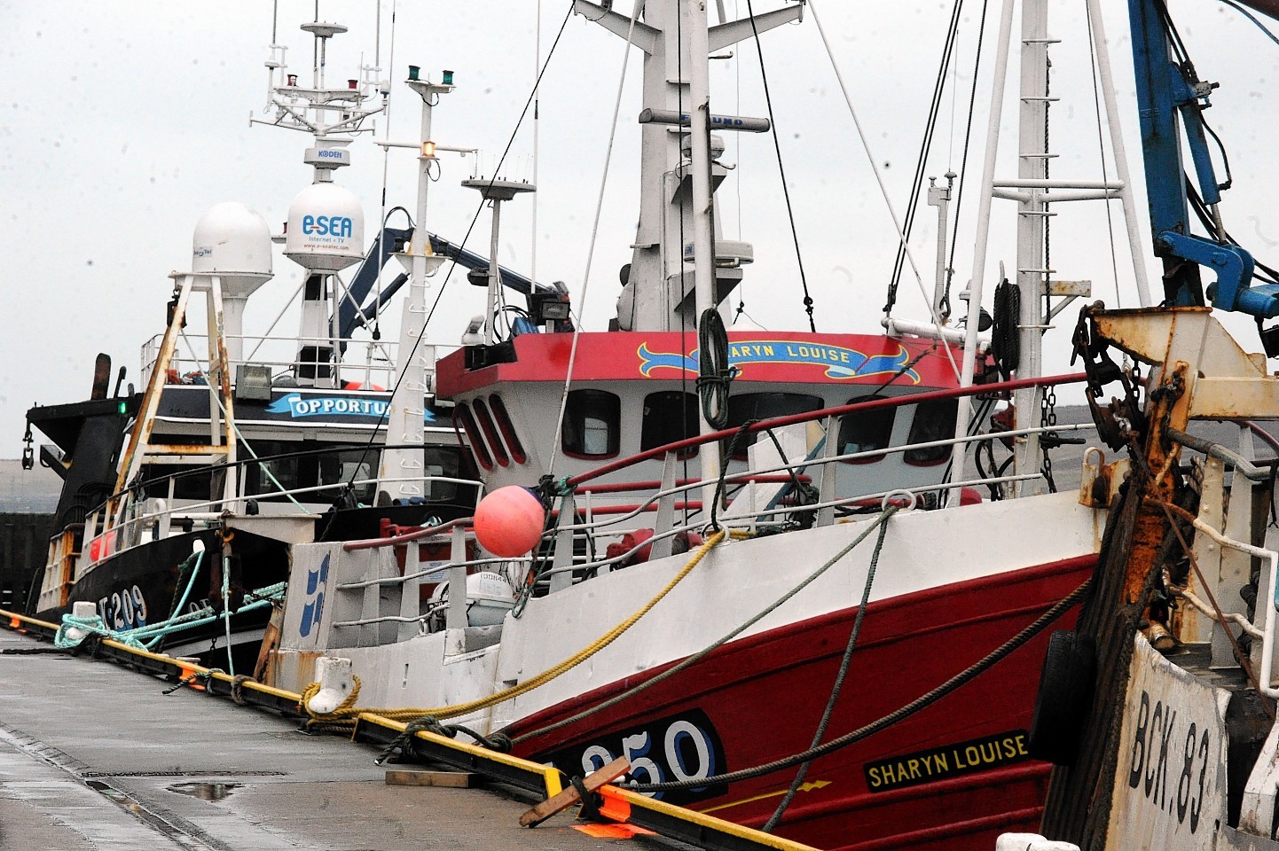 Shetland fishing