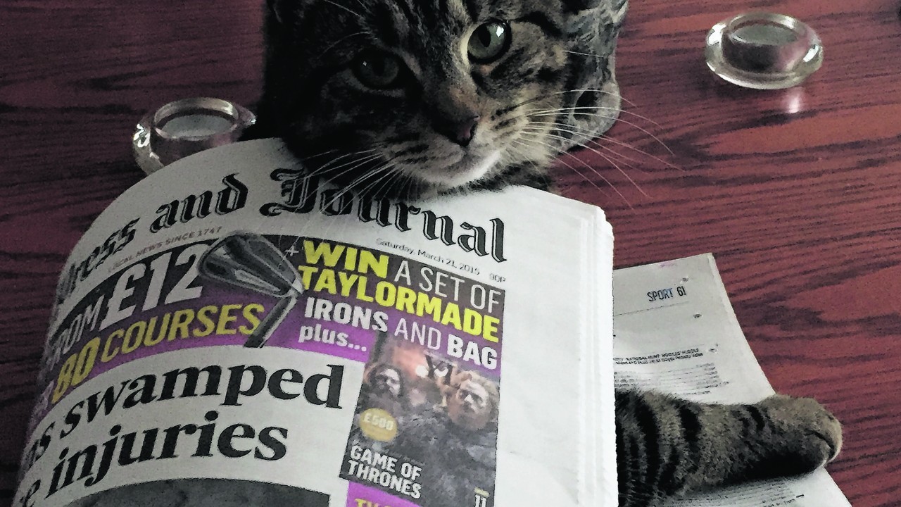 Tilly reading the P&J. She lives with Paul and Katrina in Aberdeen, and is our winner this week.