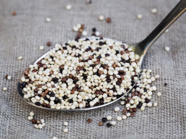 A spoonful of quinoa. 