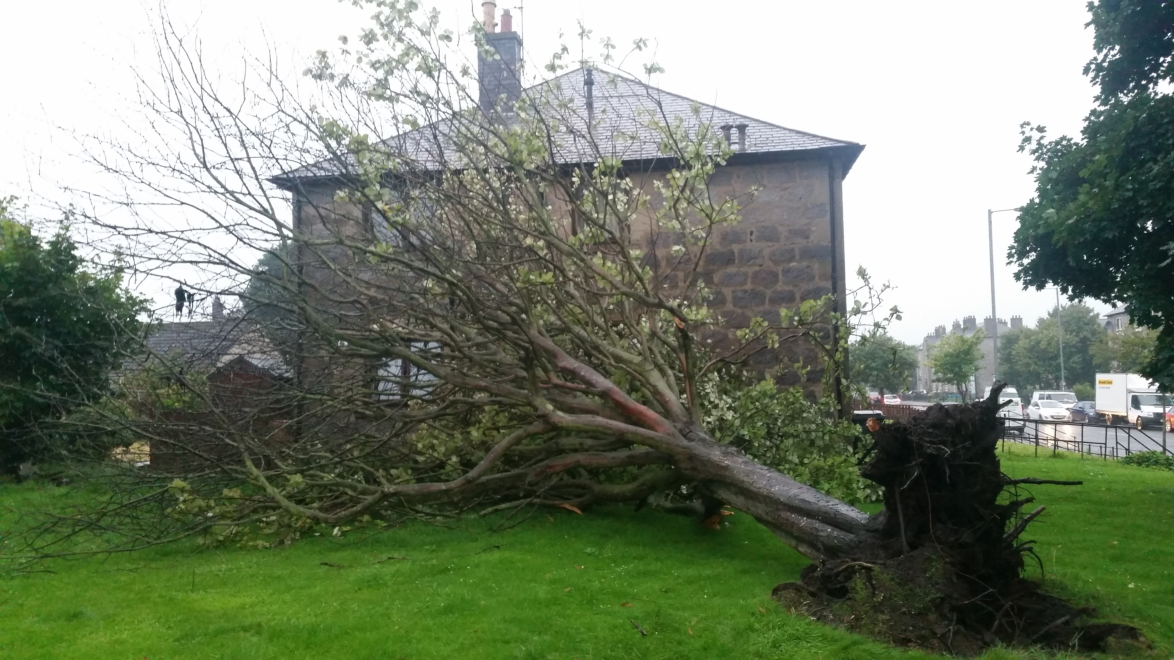 A woman is trapped in her home after the tree fell