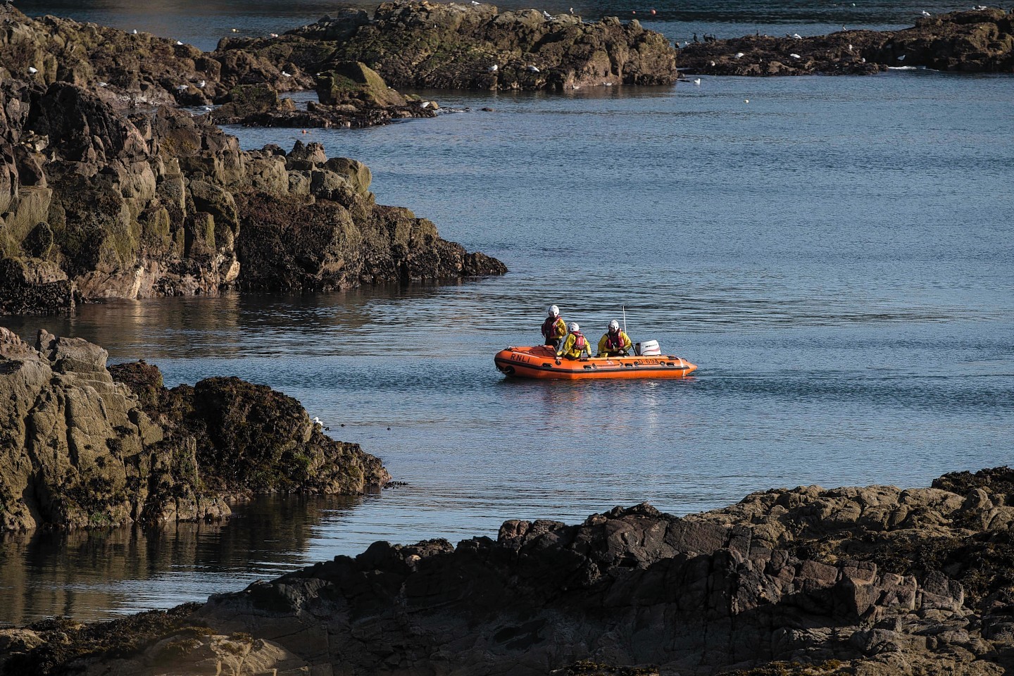 Search for man who fell overboard in the North Sea off the Aberdeen coast