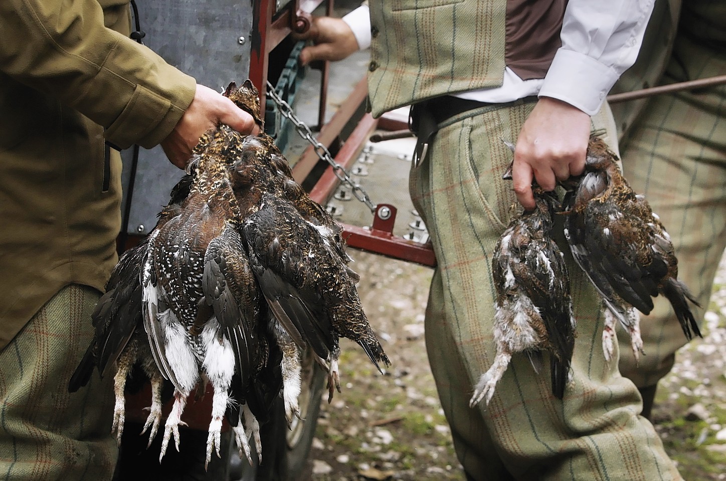 The economic benefits of grouse moors were explored in the report.
