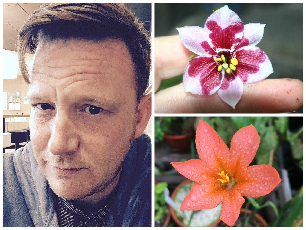 Chris Mackay's gardening blog
