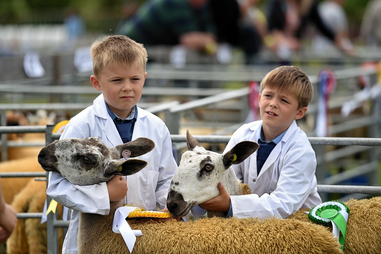 The Keith Show - Brothers, Gregor and Archie Milne from Kennieshillock Farm, Lhanbryde
