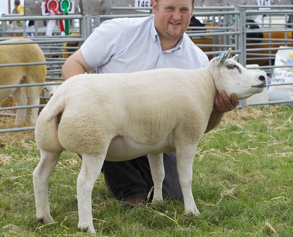 The Beltex champion was crowned interbreed sheep champion